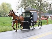 Amish 1