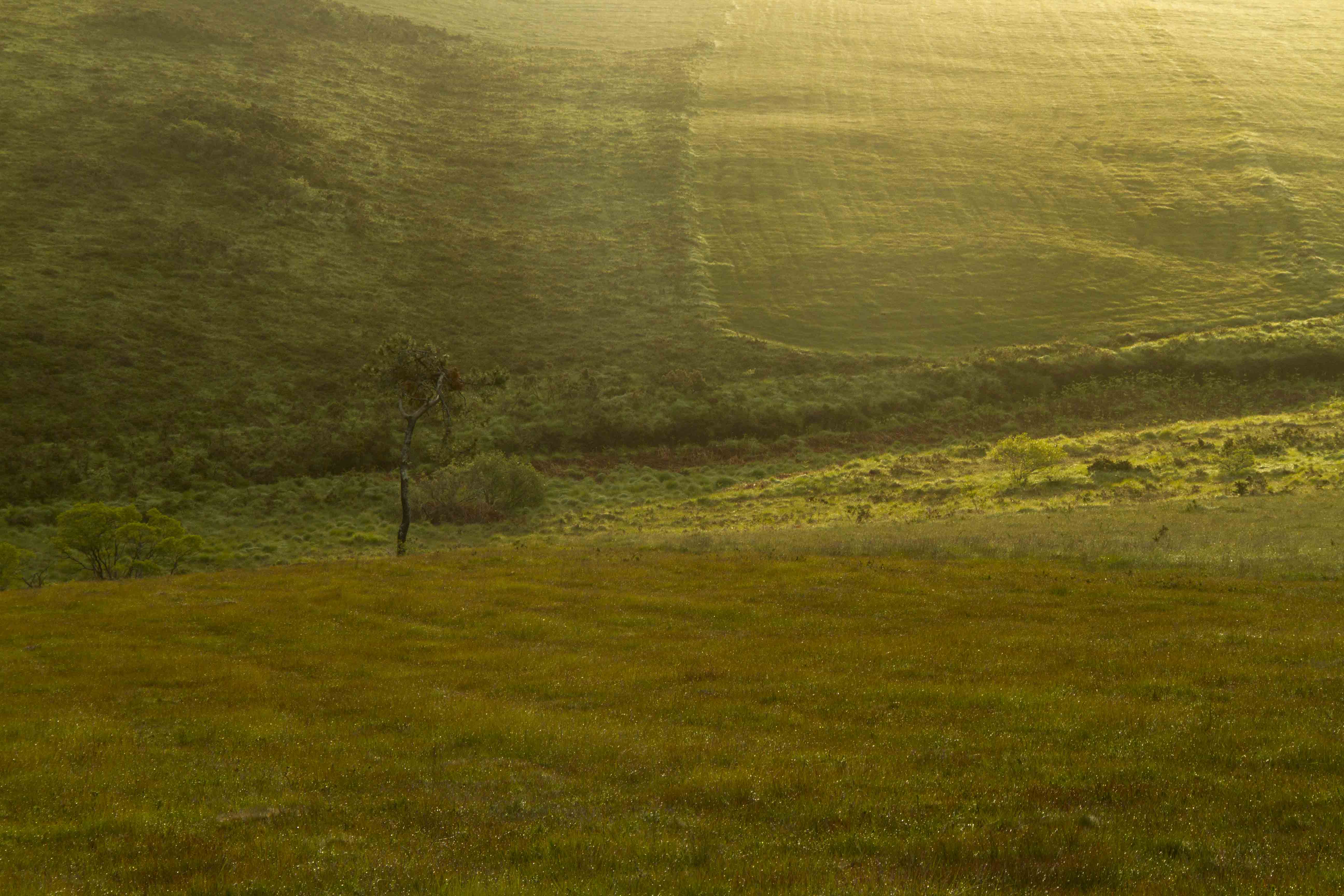 lande de fauche Mendy lever du soleil