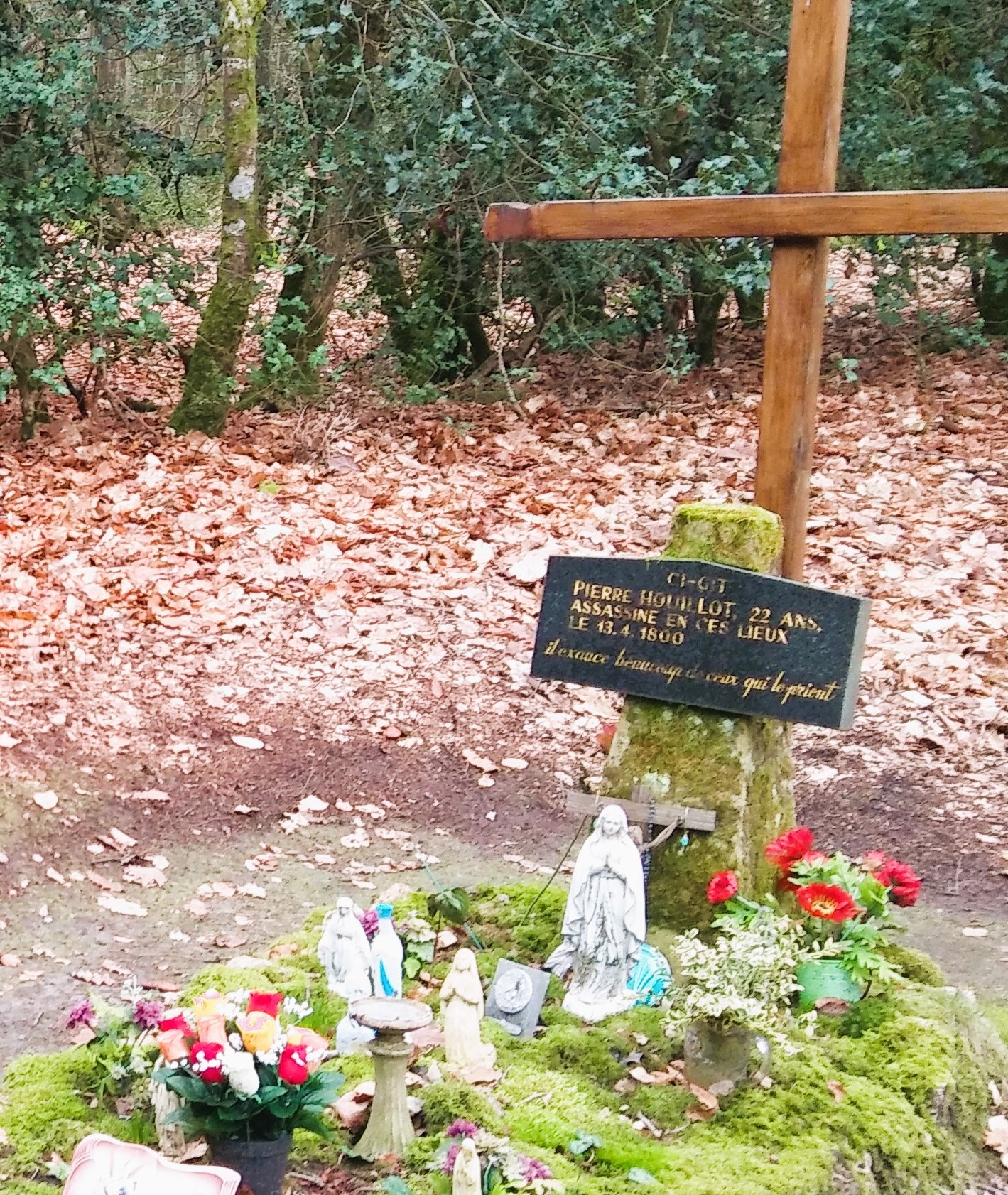 La tombe à Houillot Forêt d'Araize