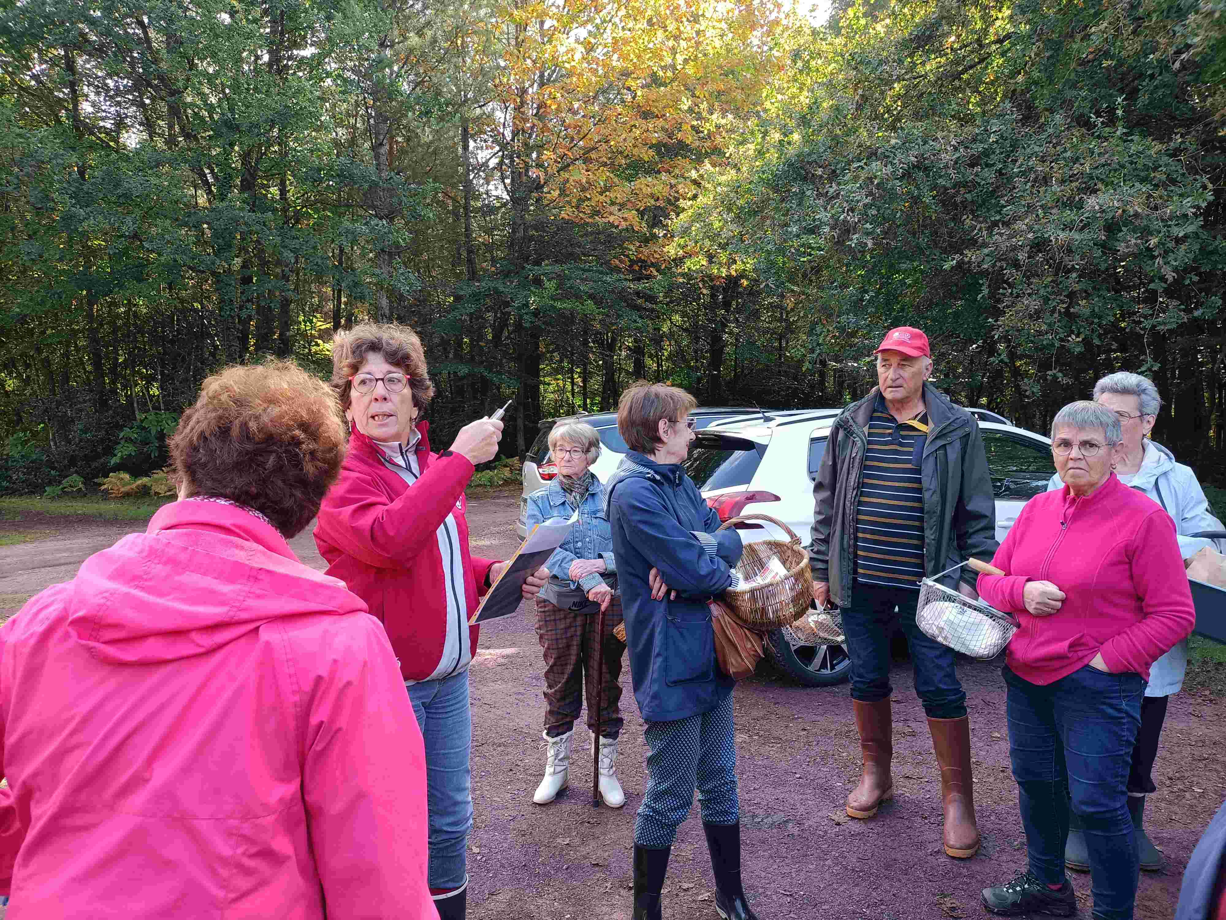 sortie champignons 1